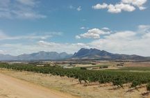 Greatest Wine Tour of the Cape Winelands 