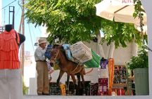 Explore Paros Island: Private Experience