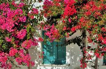 Explore Paros Island: Private Experience