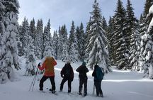 Snowshoeing day trip from Bansko to Rhodope Mountains