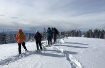 Snowshoeing day trip from Bansko to Rhodope Mountains