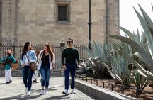 Mexico City Private & Personalized Half-Day Tour with a Local