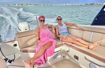 Private Dolphin & Architecture Tour in St. Petersburg, Fl