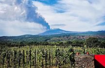 Etna excursion and wine tasting with Sicilian lunch