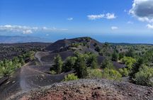 Etna excursion and wine tasting with Sicilian lunch