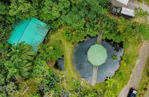 Pura Vida Cooking Class in La Fortuna (From farm to table)