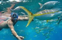 Private Sunset Sailing Experience (All Inclusive) 