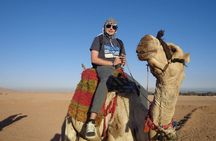 5-Hour Quad Bike Safari: Camel Ride, BBQ Dinner & Live Show