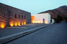 Private Santiago, Visit Santa Rita Winery & Transfer to Hotel