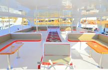 Luxury Snorkeling Trip to Ras Mohamed and White Island from Sharm