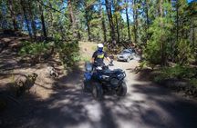 Off-Road Quad Tour from Woodlands to Volcanic Heights