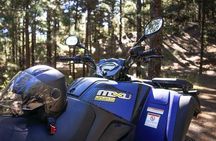 Off-Road Quad Tour from Woodlands to Volcanic Heights