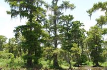 Private Airboat Swamp Tour
