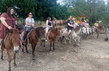 Half-day City tour cultural from punta cana for small group