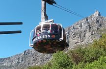 8-Hour Tour in Table Mountain Penguins and Cape of Good Hope 