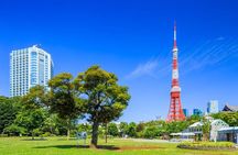 Private Transfer for Custom Day Tour in Tokyo 