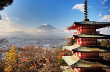 Private Transfer for Custom Day Tour in Tokyo 