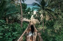 Phuket Beach Plane Spotting and Monkey Cave Temple Private Tour
