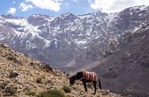2-Days Toubkal Trek from Marrakech with Local Guide