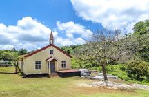 Full Day Dunn's River and Nine Miles with Lunch