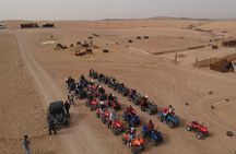 An Enchanted Evening in Marrakech: Dinner, Shows and Adventures