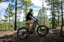 Tenerife: Guided Electric Mountain Bike Volcano Tour