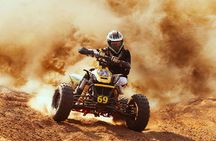 Dubai Desert Safari: 4x4 Dune Bashing, Camel Ride & BBQ Dinner