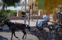 Luxor City Horse Carriage Tour: Dine and Discover