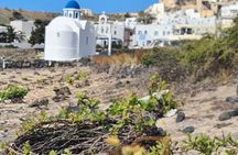 4 Hours Santorini Private Tour