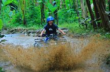 ATV Quad Bike Through Waterfall and Tunnel in Bali