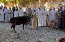 Private Friday Cattle Market-Nizwa and Jebel Akhdar-Full-Day Tour