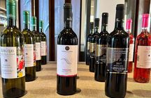 1-Hour Wine Tasting Experience in Protara 