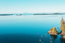 Full Day Kayaking Adventure on Vancouver Island 