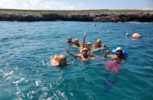 Marietas Islands Tour: enter the hidden beach 100% GUARANTEED