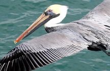 Guaranteed Hidden Beach • Small Group Tour • Punta Mita