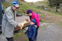 Scenic tour to Steinsfjellet, locals at Kringsjå & Rising Tide