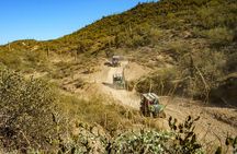 Guided Arizona Desert Tour by UTV