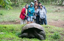 7 Days Galapagos Santa Cruz and Isabela Islands plus Quito Tour