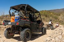 Guided Arizona Desert Tour by UTV
