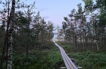From Riga: Kemeri Bog Boardwalk and Jurmala Seaside