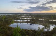 From Riga: Kemeri Bog Boardwalk and Jurmala Seaside