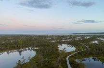 From Riga: Kemeri Bog Boardwalk and Jurmala Seaside