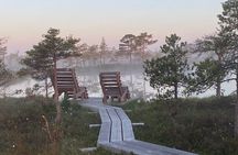 From Riga: Kemeri Bog Boardwalk and Jurmala Seaside