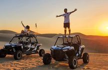 From Lima Ballestas Islands Huacachina Oasis Buggy and Vineyard