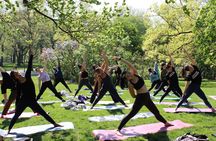 Central Park Yoga Class