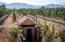 Private Winery Undurraga from Santiago