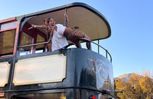 From Cape Town: Franschhoek Wine Tram Hop-on-Hop-off Tour