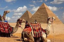 day tour to Giza pyramids& Saqqara & Memphis & Dahshour & lunch