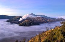 Bromo-Ijen Private Multi-Day Tour from Surabaya and Banyuwangi