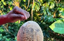 Organic cooking class sigiriya (kumara & family)